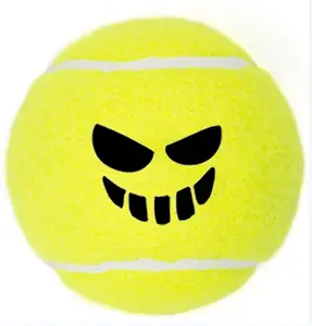 Palle di decorazione di Halloween di alta qualità palline da Paddle da Tennis 45% lana Pelotas De Padel adulti giocano