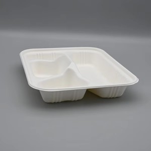 Lonchera Biodegradable de Bagazo de Caña de Azúcar con 4 Compartimentos para Entrega en Restaurantes, Platos Desechables para Fiestas al por Mayor - Product Image 4