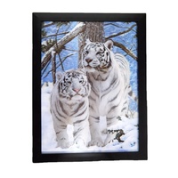 Özel Yüksek Kaliteli 30x40cm 3D Lentiküler Değişen Resim Toptan Anime Lentiküler Baskı 3D Poster