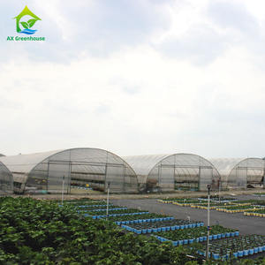 Invernadero de túnel agrícola, invernadero de <span class=keywords><strong>caracol</strong></span>, comercial, Ghana - Product Image 6