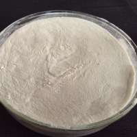 Compléments Nutritionnels pour la Santé et le Bien-être, Soutien Immunitaire, Extrait de Yam Chinois 10:1 en Poudre pour Adultes - Emballage Personnalisable