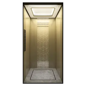 High-grade elevator villa elevator a variety of interior manufacturers direct sales free design