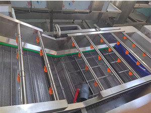 Hot Sale <strong>Vegetable</strong>/Fruits/Mushroom <strong>Production</strong> SUS 304 Material Bubble Washing/Cleaning Line - Product Image 3