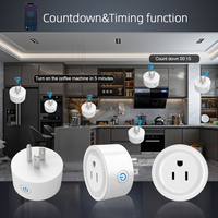 Prise intelligente WiFi Tuya IP44 avec surveillance de la consommation d'énergie, commande vocale pour la domotique, prise de contrôle à distance pour appareils électroménagers