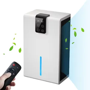 Semikonduktor ringkas, kontrol jarak jauh layar sentuh cerdas portabel Dehumidifier udara Ion negatif