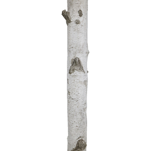 Iluminación de tronco de abedul artificial <span class=keywords><strong>para</strong></span> decoración interior - Product Image 4