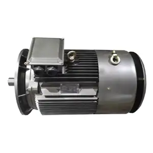 50HZ Totally Enclosed Low Voltage 3 Phase AC Asynchronous Motor