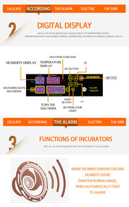 Mini tự động trứng lồng ấp 48 couveuse automatique oeuf 12 Volt Pin trứng nở giá máy - Product Image 3