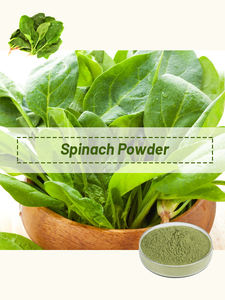 Extrait de légumes 100% naturel pur lyophilisé de qualité alimentaire, poudre d'épinard soluble dans l'eau - Product Image 2