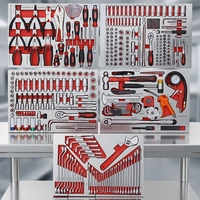 Kit d'outils de réparation automobile avec plateau de rangement en mousse EVA, jeu de clés à cliquet et douilles de 352 pièces, outils de précision, ensemble d'outils pour garage et atelier