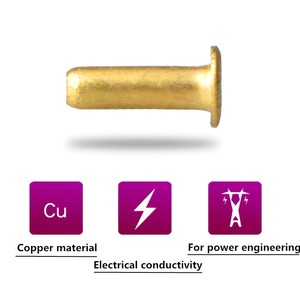 <span class=keywords><strong>Rivet</strong></span> creux <span class=keywords><strong>tubulaire</strong></span> Tubler en métal cuivré à tête ronde plate en <span class=keywords><strong>laiton</strong></span> personnalisé - Product Image 5