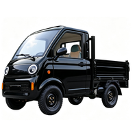 Camionnette électrique à cabine entièrement fermée EEC, 3500W, conduite à gauche, LiFePO4, benne basculante