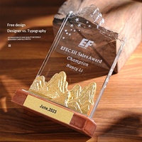 Trophée en métal-cristal et bois massif |   Récompenses haut de gamme personnalisées pour les réunions annuelles sur le thème de la montagne et les réalisations exceptionnelles