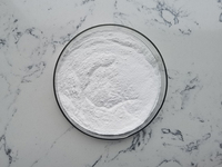 Fabriek Direct 100,000-2.400.000u/G Bulk Papaïne Enzympoeder