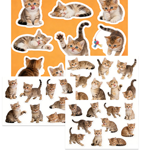 Paquete <span class=keywords><strong>de</strong></span> 4 Pegatinas <span class=keywords><strong>de</strong></span> Papel con Gatitos Realistas y Adorables, Calcomanías Decorativas <span class=keywords><strong>de</strong></span> Gatos para Álbumes <span class=keywords><strong>de</strong></span> Recortes, Diarios, Planificadores, Manualidades y Papelería - Product Image 3