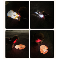 Collar Personalizado para Perro OKKPETS con Proyector de Luz, Collar para Mascotas con Proyección de Retrato y Nombre, Luz LED para Arnés de Perro