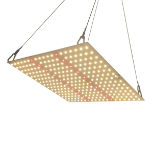 Panneau quantique à spectre complet dimmable 120W pour culture de plantes en serre, plantes médicinales et plantes d'intérieur - Product Image 4