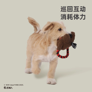 Juguete de Cuerda para Perro Hoopet, Nudo Domo-kun, Juguete Masticable Resistente para Mascotas Pequeñas - Product Image 5