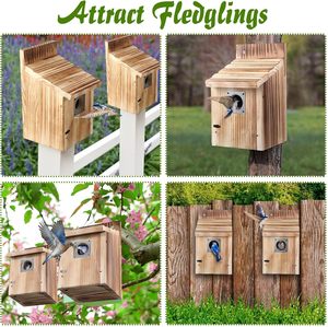Nichoirs en bois écologiques avec entrée, protection métallique contre les prédateurs, loquet sécurisé, rainures pour jeunes oiseaux, nichoir en cèdre pour passerois bleus toutes saisons - Product Image 3