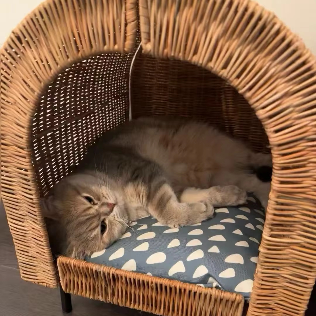 High Quality Product Natural Rattan Pet Relaxing House Top Selected Rattan Pet Cages for Cat Dog