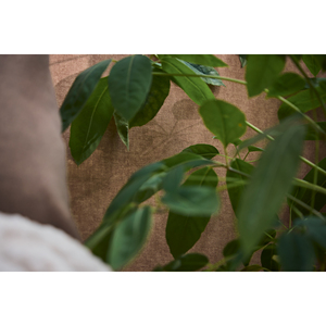 ม้วนวอลล์เปเปอร์395668 - Product Image 6