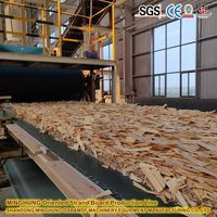 Línea de Producción de OSB Totalmente Automática con Sistema de Control PLC, 30000 M3 por Año