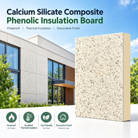 Revêtement extérieur Maisons préfabriquées Revêtement mural extérieur Couverture d'isolation et de décoration en composite de silicate de calcium Panneau intégré
