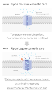 Crema Hidratante Ligera LAGOM CELLUS MILD MOISTURE CREAM para Piel Sensible, Crema Facial Hidratante No Grasa de Uso Diario para Mujeres - Product Image 4