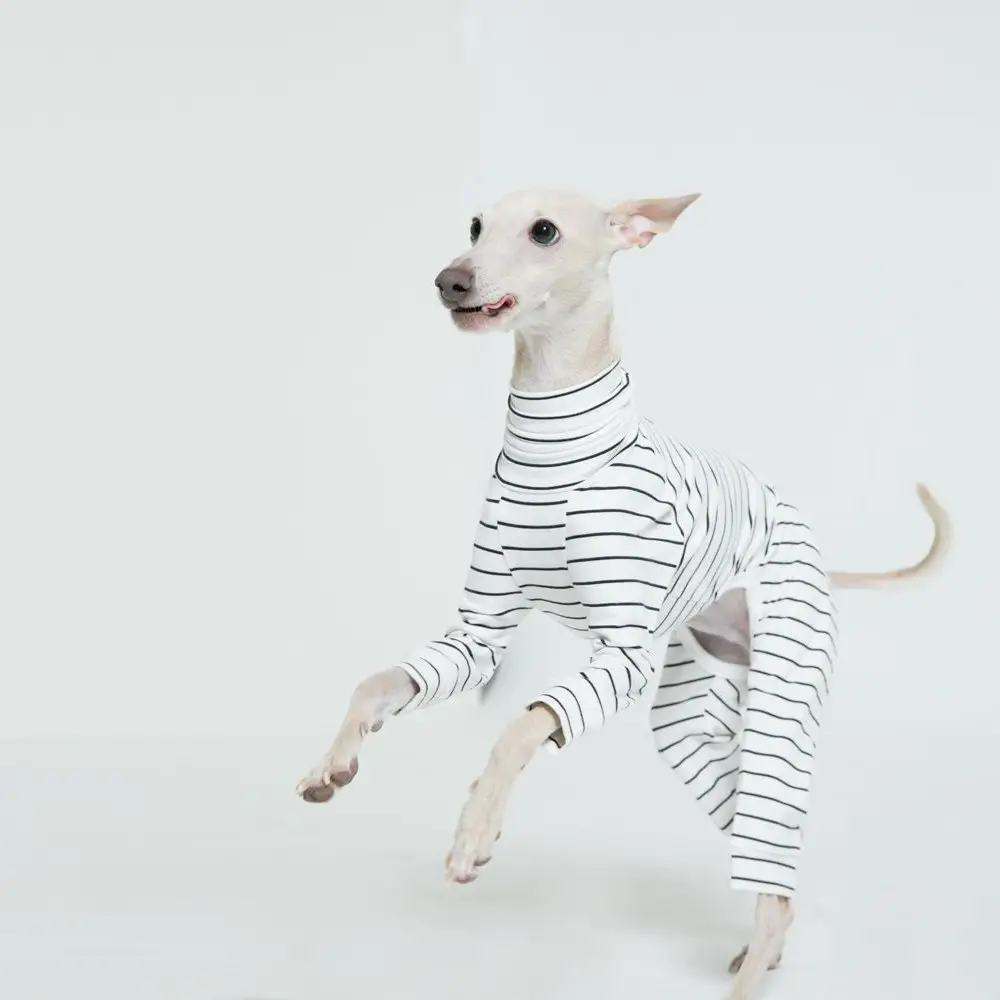 Qiqu suéter de luxo para cachorros, roupa de cachorro personalizada com tiras de calor, itens para animais de estimação