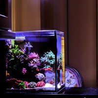 Ensemble complet de réservoirs d'eau de mer rectangulaires modernes en verre, réservoirs de coraux, petits aquariums ultra-blancs avec filtre arrière, kits d'équipement pour débutants pour salon