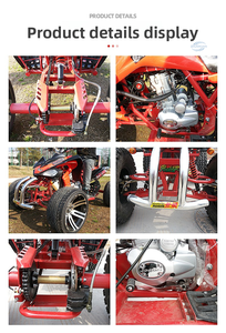 รถสามล้อเครื่องยนต์ 250 ซีซี 4 จังหวะ ใช้แก๊ส/LPG ขับเคลื่อนด้วยโซ่ ได้รับการรับรองมาตรฐาน EEC สำหรับการขับขี่แบบออฟโรด - Product Image 6