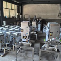 Machine à ramen hydraulique entièrement automatique commerciale, multifonctionnelle, coupe-nouilles, cuisson, presse à nouilles manuelle, fabrication de céréales