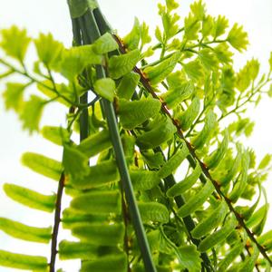 <span class=keywords><strong>Piante</strong></span> Artificiali Piccole, <span class=keywords><strong>Piante</strong></span> Secche Emozionanti, Fornitori all'Ingrosso, <span class=keywords><strong>Piante</strong></span> Artificiali Carine, <span class=keywords><strong>Piante</strong></span> Grasse, Regalo, Decorazione Murale in Rattan - Product Image 5