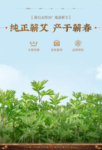 Patch de moxibustion de compensation humide pour l'entretien de <span class=keywords><strong>la</strong></span> santé Patch de moxibustion chaud de fièvre d'humidité de drainage utérin - Product Image 4