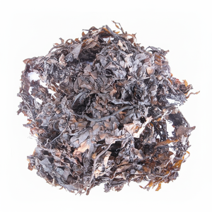 Alga Marina Sargassum Seca Natural, Ideal para Agricultura, Suplementos Alimenticios, Usos Cosméticos y Producción Ecológica - Product Image 1