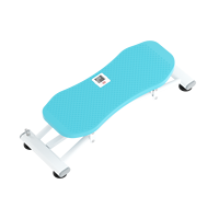 Mini stepper de fitness pour entraînement cardio, machine de ski, entraîneur d'équilibre corporel complet, écran LCD, acier et PP, charge maximale 150 kg