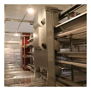 Chicken Poultry Closed House System With Full Set Automatic Equipment Layer Chicken Raise Chicken Farms 128 Birds 1000 1.5 Years