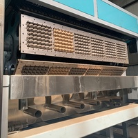 Machine de fabrication de plateaux moulés CE 7000 pièces par heure entièrement automatique pour le recyclage de vieux papiers et papier en fibre de pulpe de caille, de poulet et d'œufs
