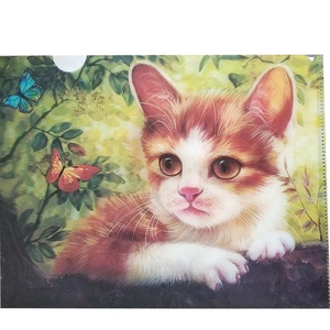 Trung Quốc Nhà Máy hiển thị thư mục nhựa 3D dạng thấu kính thư mục tập tin tùy chỉnh thực hiện cho interwiew - Product Image 4