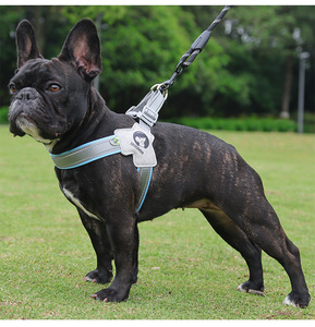 Arnés Reflectante Ligero en Forma <span class=keywords><strong>de</strong></span> Y para <span class=keywords><strong>Perros</strong></span>, Ajustable, Cómodo, Antipullones, Arnés <span class=keywords><strong>de</strong></span> Pecho Antiescape para <span class=keywords><strong>Perros</strong></span>, para Paseos Diarios - Product Image 4
