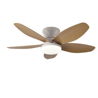 Ventilateur de plafond moderne en métal avec pales en forme de feuille pour enfants, moteur AC, 42/48 pouces, LED, pour salle de bain, télécommande, 6 vitesses, 5 pales, intensité variable