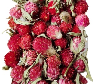 Globe amaranto fiore tè essiccato rosso <span class=keywords><strong>rosa</strong></span> viola <span class=keywords><strong>colore</strong></span> all'ingrosso Flos Gomphrenae - Product Image 4