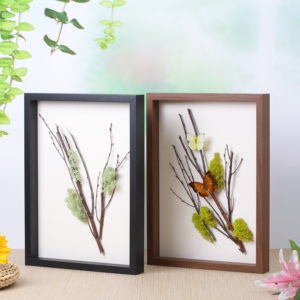 Hot Bán Bán Buôn Tùy Chỉnh A4 Walnut Gỗ Bướm Mẫu Vật 3d Nghệ Thuật Sâu Bóng Hộp Ảnh Khung - Product Image 2