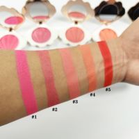 Saucière de maquillage oem, briquet, coquille de vegan, étiquette privée, blush, maquillage, 15 couleurs, sans échantillons