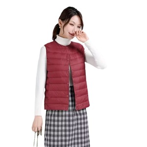 2025 nouveau <span class=keywords><strong>gilet</strong></span> léger pour femmes coréen décontracté <span class=keywords><strong>sans</strong></span> manches veste <span class=keywords><strong>sans</strong></span> col conception coupe ajustée pour l'automne hiver vêtements d'extérieur - Product Image 2