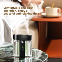 Mini diffuseur d'arômes évaporatif rechargeable Type-C, humidificateur portable pour la maison avec une capacité de 10 à 50 ml