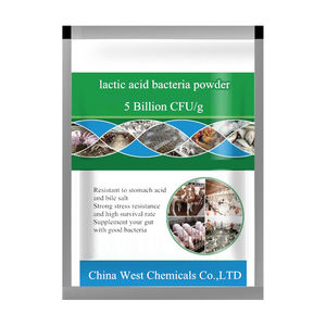 Polvo de bacterias de ácido láctico para fermentación, 5 mil millones de UFC/g, Lactobacillus Plantarum - Product Image 2