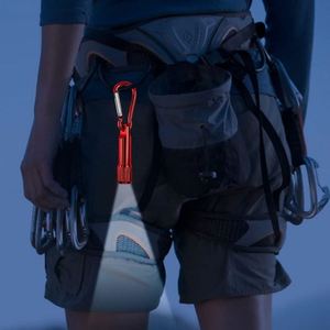Mini LED <b>Torch</b> Keychain Light Portable Aluminum Pocket Flashlight with Carabiner Hook for Camping Hiking Backpacking Bulk - Product Image 5