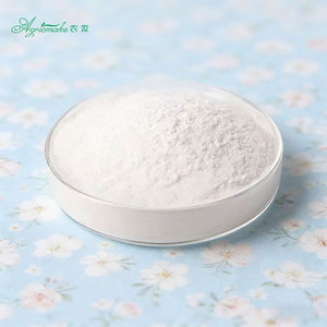 Poudre d'extrait végétal blanc à 99 % de spicules d'éponge pour gommage facial cosmétique, ingrédient exfoliant naturel Spongilla pour soins de beauté - Product Image 1