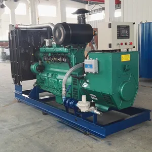 250Kw natural gas biogas generators Factory direct sales at cheap prices